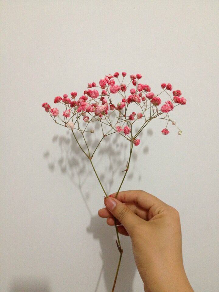 一折满天星干花花束