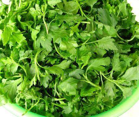 野菜气垫cc 提亮肤色_南京特产菊花脑叶菊花涝头自种新鲜绿色蔬包邮