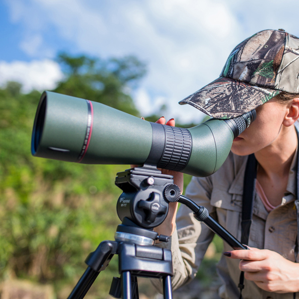 专柜博冠鸿鹄ed20-60x86高品质观赏观鸟镜高倍高清可观天文