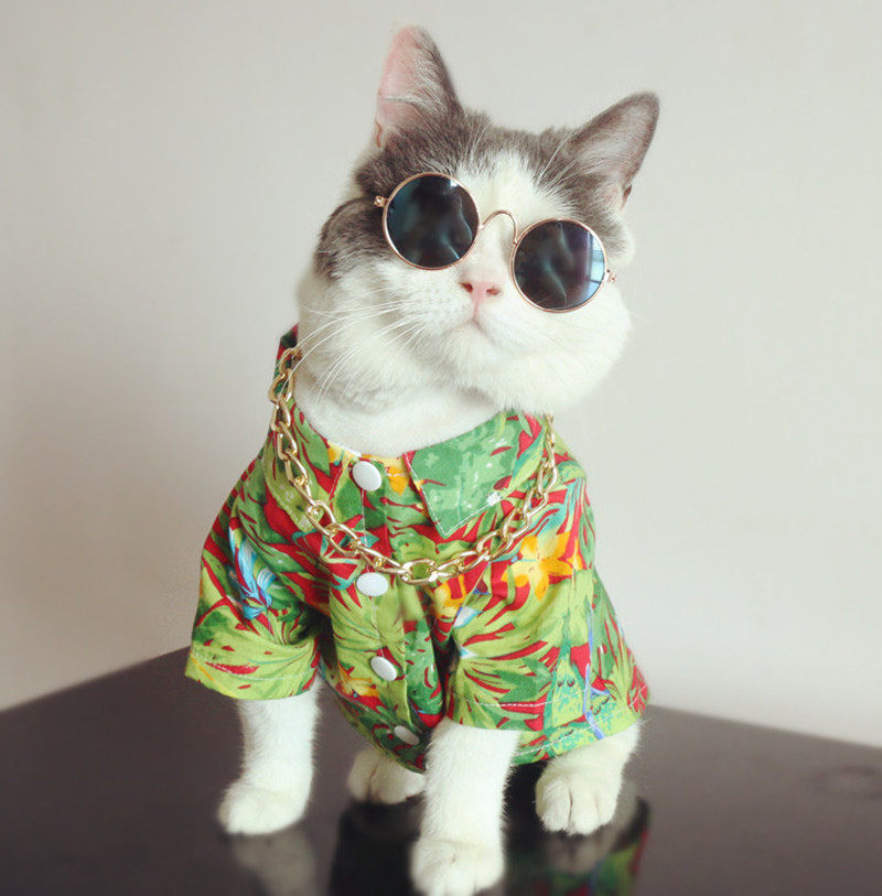 宠物也要穿衣服,谁还不是个宝宝咋地!