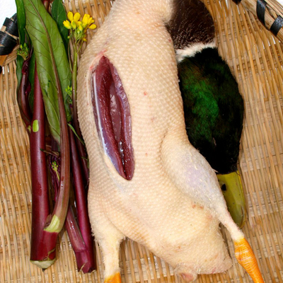 洪湖野鸭顺丰空运 散放养土鸭草水鸭绿头鸭麻鸭老鸭子肉生态活杀