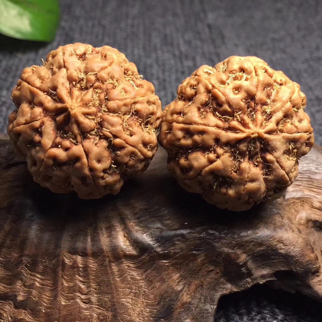 大金刚菩提_爆肉纹7瓣8瓣9瓣精品蜂窝矮桩大金刚菩提原籽手球佛珠男士