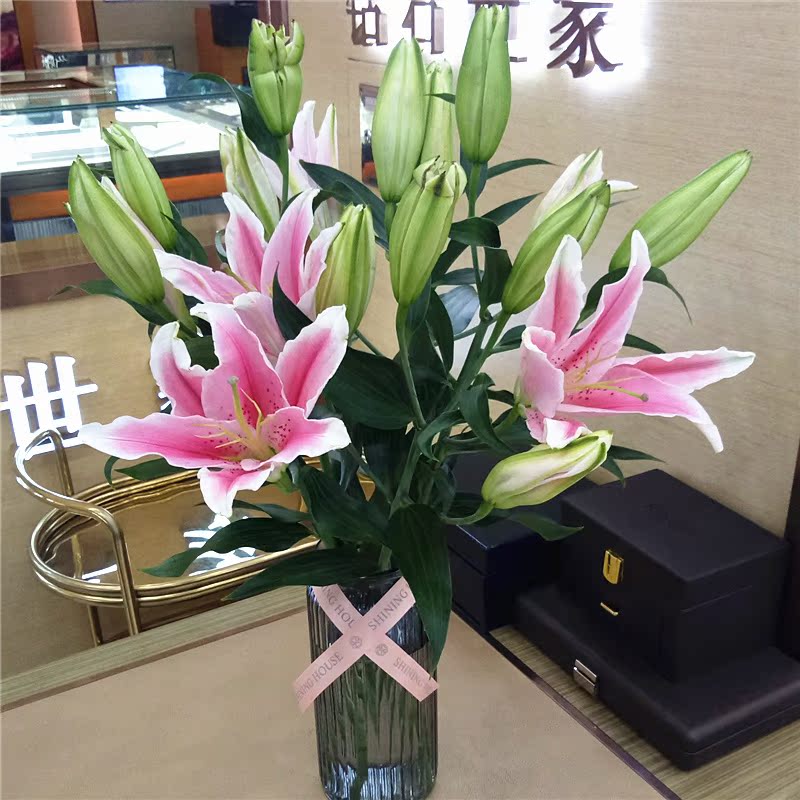 运势花瓶粉色鲜花送花插百合鲜切花天津爱情百合专人上门粉香水巨蟹座2015年9月专车百合图片