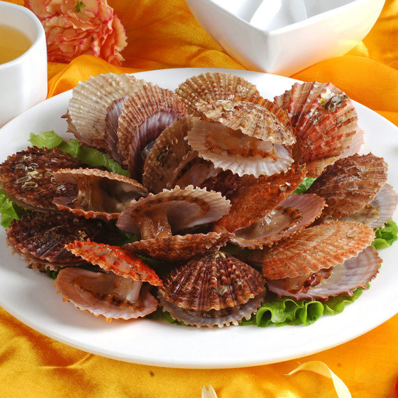 特价海鲜水产鲜活小红贝 扇贝_鲜活小红贝野生大扇贝新鲜湾口贝红扇贝