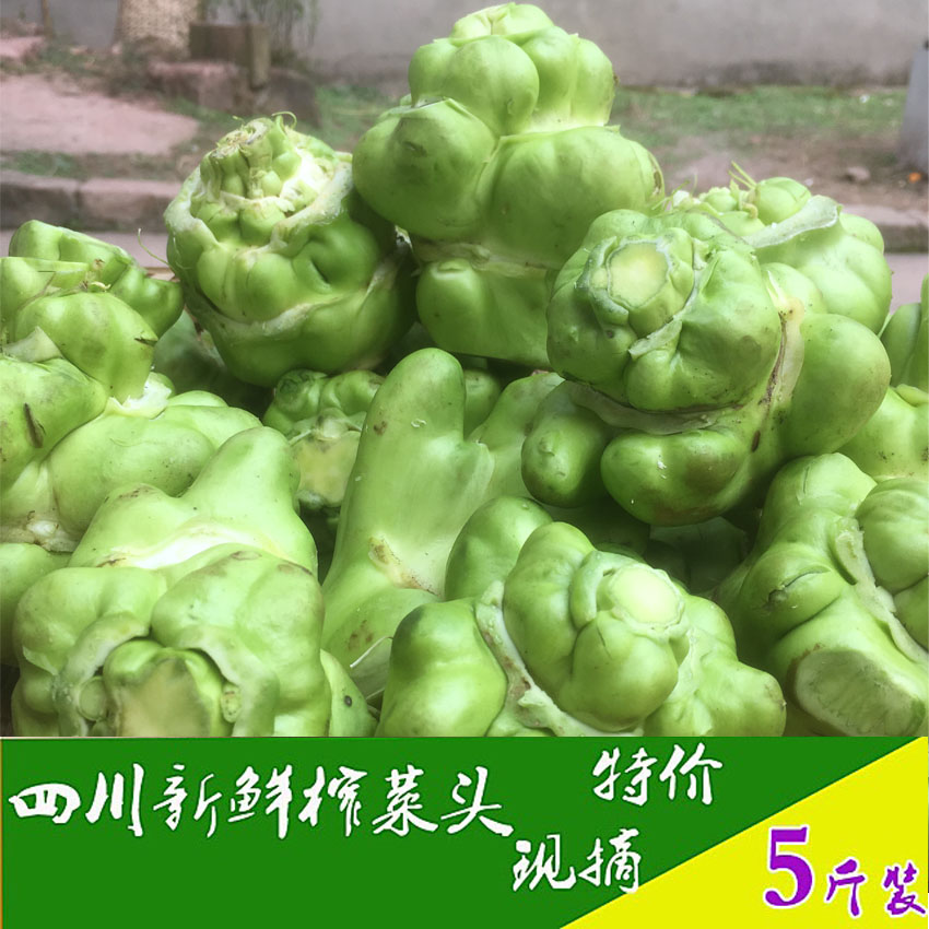 四川青菜 蔬菜 新鲜_四川新鲜蔬菜涪陵榨菜头青菜头芥菜菱角菜疙瘩