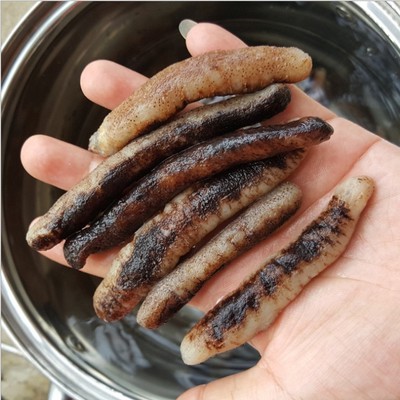 水发海参淘宝优惠券