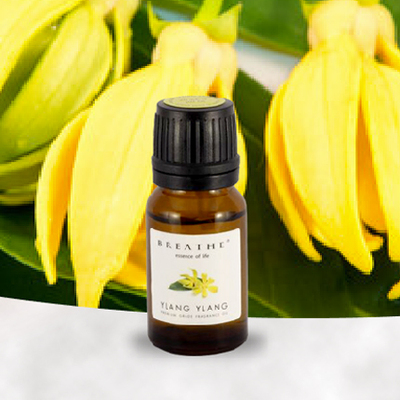 breathe eol 依兰花精油10ml单方精油催情