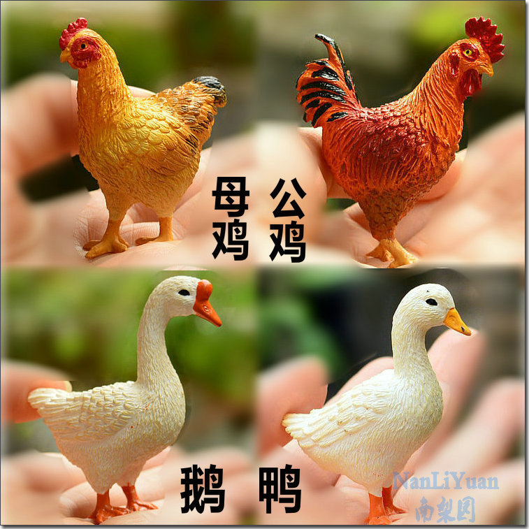 动物玩具模型 仿真动物_母鸡/公鸡/鹅/鸭子 仿真模型玩具 摆件 公仔