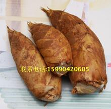 【遂昌冬笋】最新最全遂昌冬笋搭配优惠