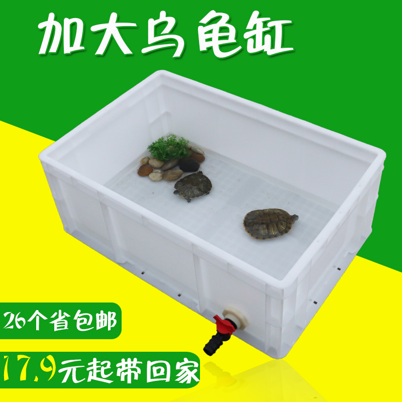 乌龟盆缸塑料大额优惠券