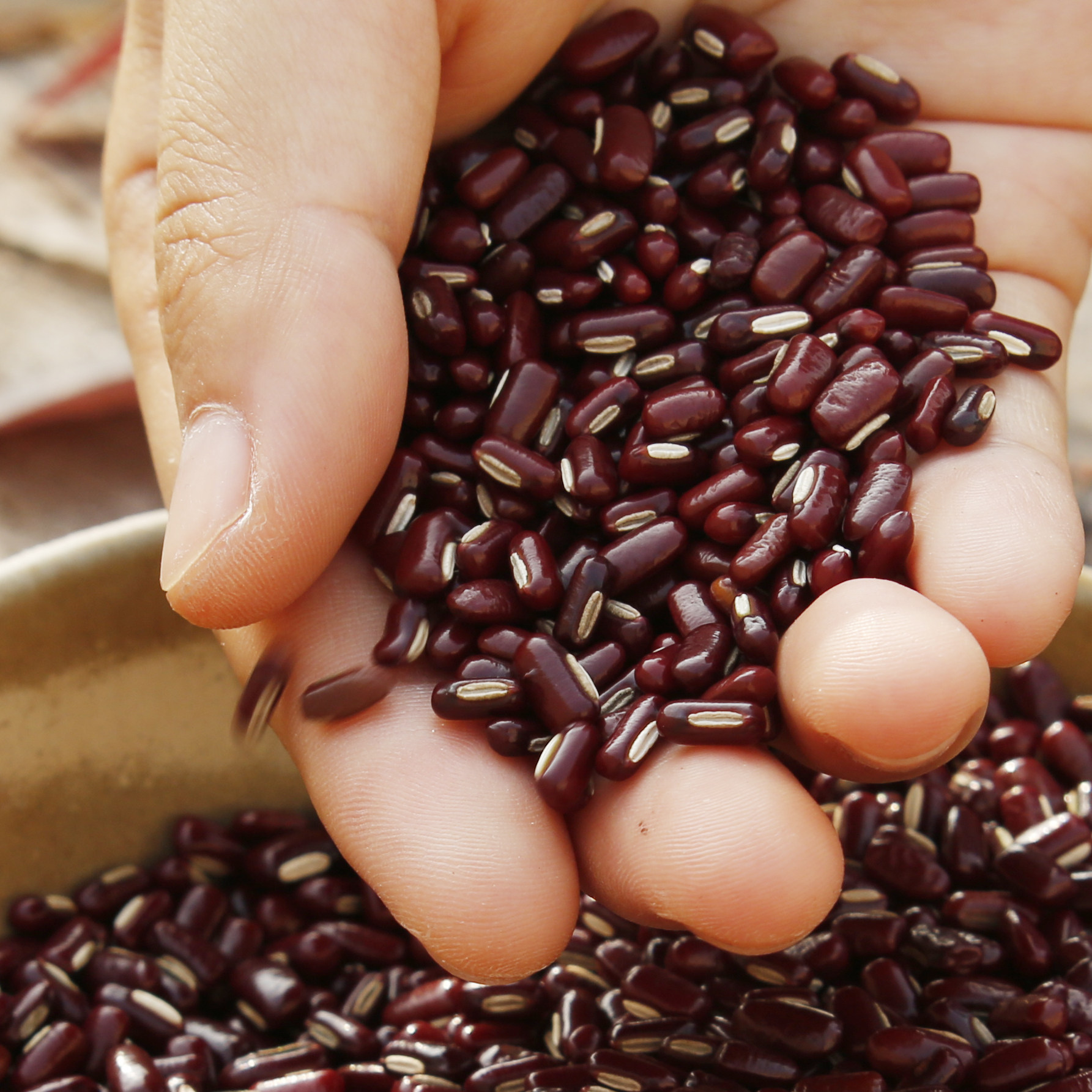 一折红小豆 农家_正宗长粒赤小豆 农家 赤豆红豆红小豆 380克店内有