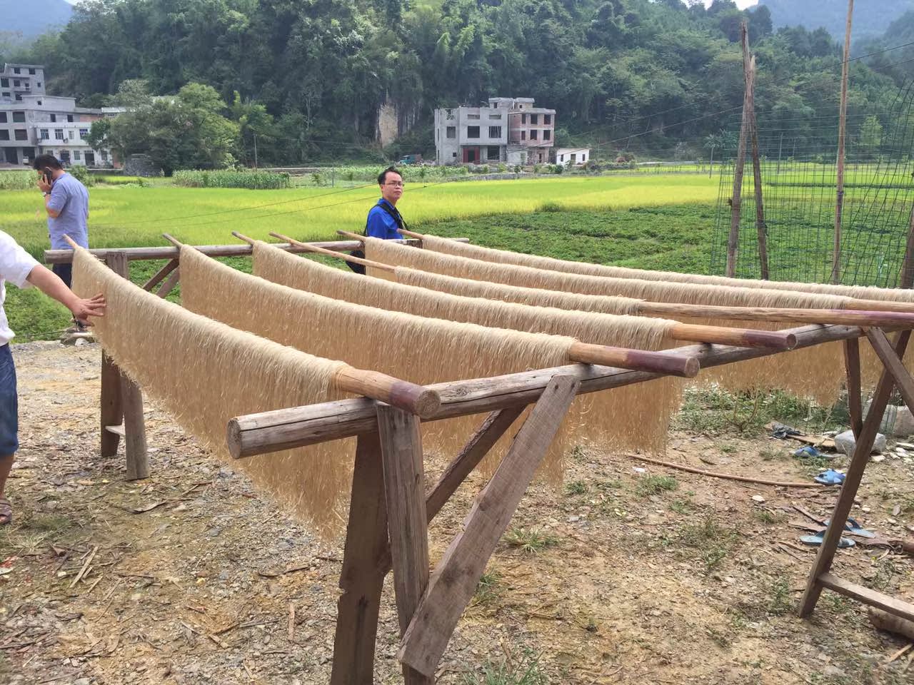 广西特产都安板岭红薯粉纯手工生态无添加红薯粉条3斤全国包邮
