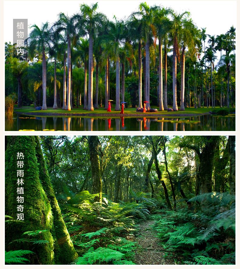 西双版纳旅游 中科院植物园景区门票 无包车限制