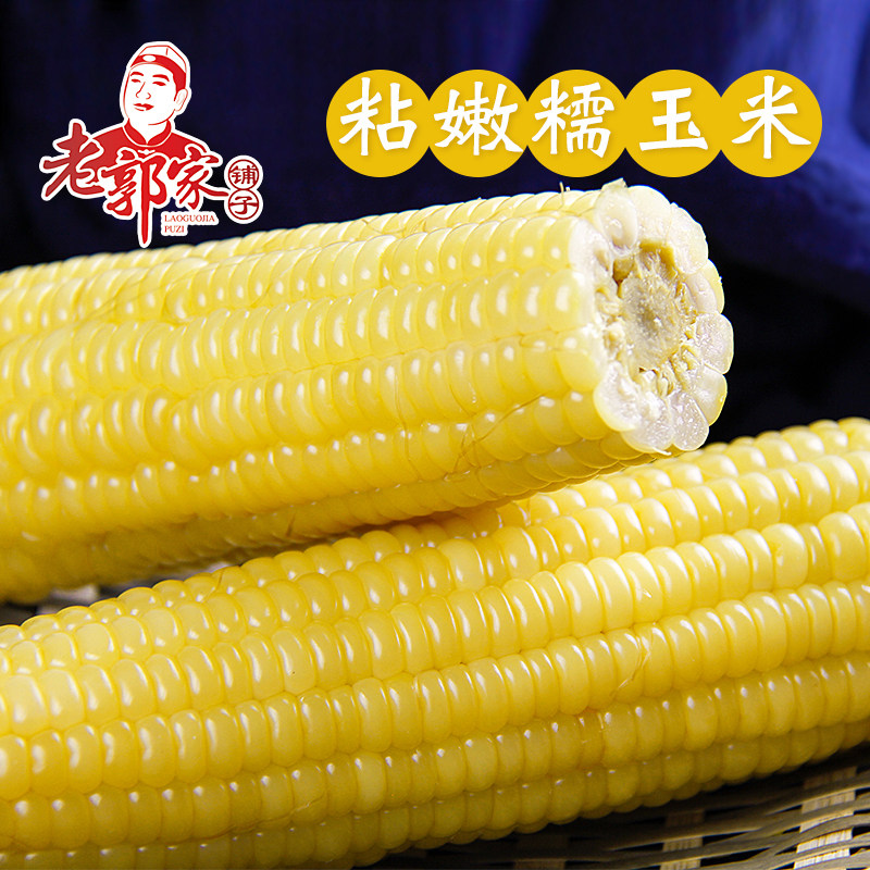 糯玉米汤圆粉_白糯玉米熟东北粘苞米8月新鲜营养黏玉米棒子真空包装