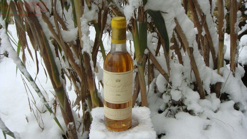 1986年 法国红酒庞特卡奈古堡红葡萄酒 chateau pontet canet