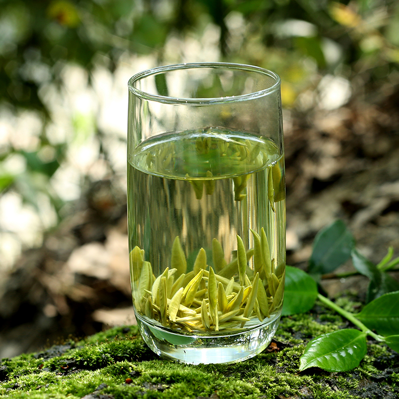 2018新茶 重庆茶业集团巴南银针雨水级100g 高山明前春茶绿茶