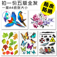 亚洲a无v码电影 免费