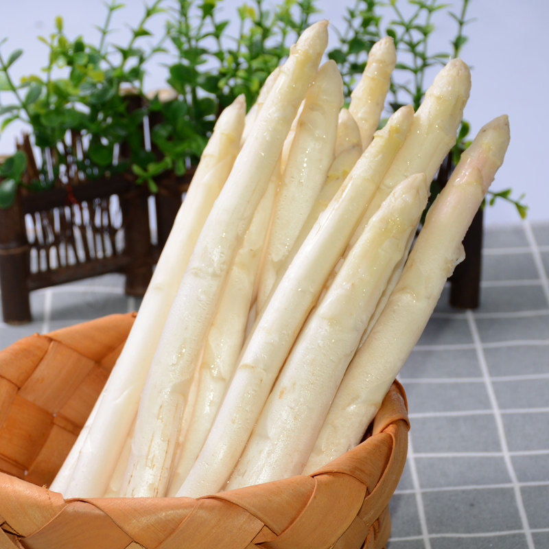 现挖新鲜白芦笋3斤芦笋农家种植芦笋山东特产新鲜蔬菜白笋 ￥29.