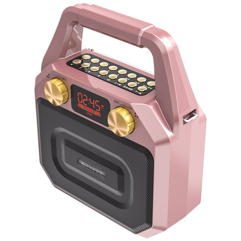 伊菲尔小型广场舞音响户外便携手提式音箱蓝牙移动无线话筒播放器