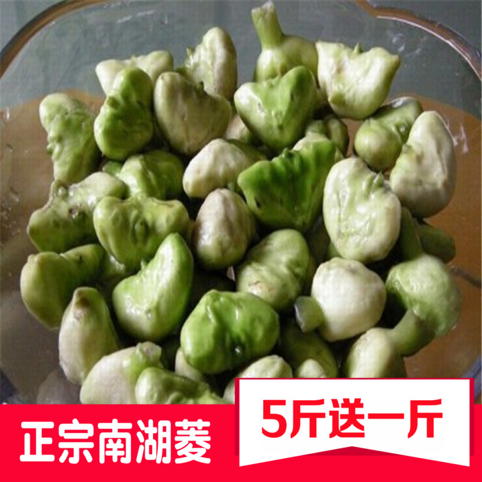 嘉兴土特产南湖菱绿菱角无角菱元宝菱干菱角5斤江浙沪包邮