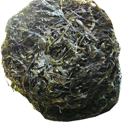 干海带丝干货野生特级厚无沙温州特产纯天然出口级淡昆布干500g