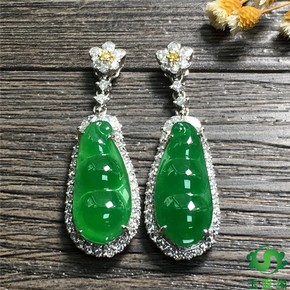 翡翠四季豆什么意思