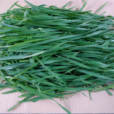 新大麦草段每袋200g兔子龙猫豚鼠荷兰猪干草饲料买五送一多省包邮