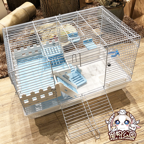 60岁的时尚女人穿衣相关问答