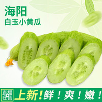 肉葡团3d电影中文版 3d肉葡萄团电影国语版 3d肉葡团之极乐之鉴