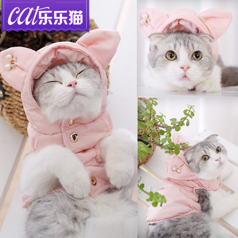 猫咪衣服秋冬保暖加厚新款布偶加菲可爱小猫衣服兔子衣服宠物衣服