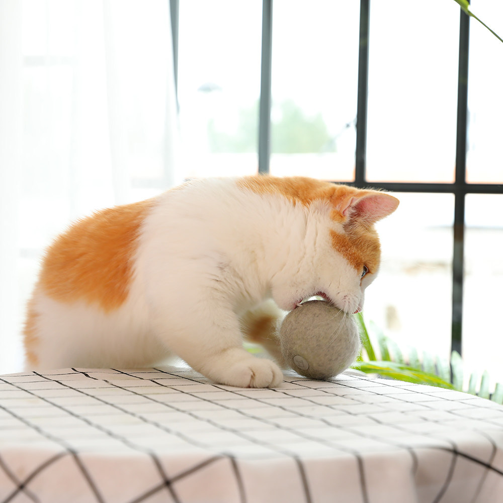 猫咪用品 玩具球