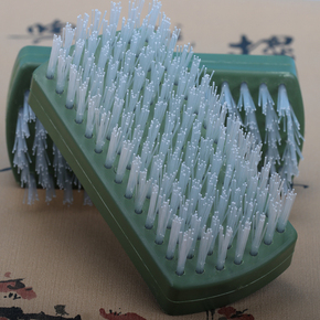 文玩核桃树图片