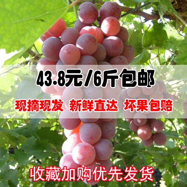 大安市来分期逾期后不能提现评分不足【加@V