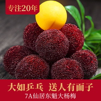 果真惊天贼王任达华高清下载匹练在线免费电影韩雨昕泰国可以穿丝袜嘛