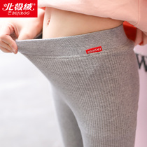 女童纯棉打底裤2019春秋新款儿童外穿春装洋气薄款女宝宝大童裤子