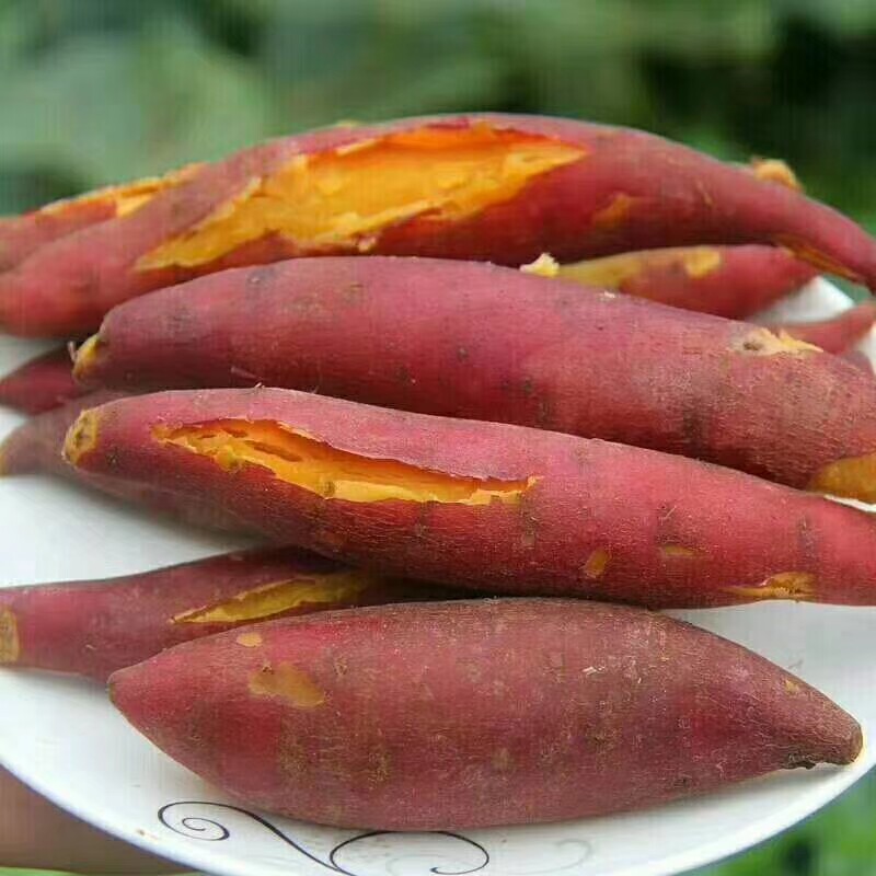 红心红薯_广西特产巴马红薯9斤包邮红蜜薯红心地瓜蜜薯甜薯非紫薯手指