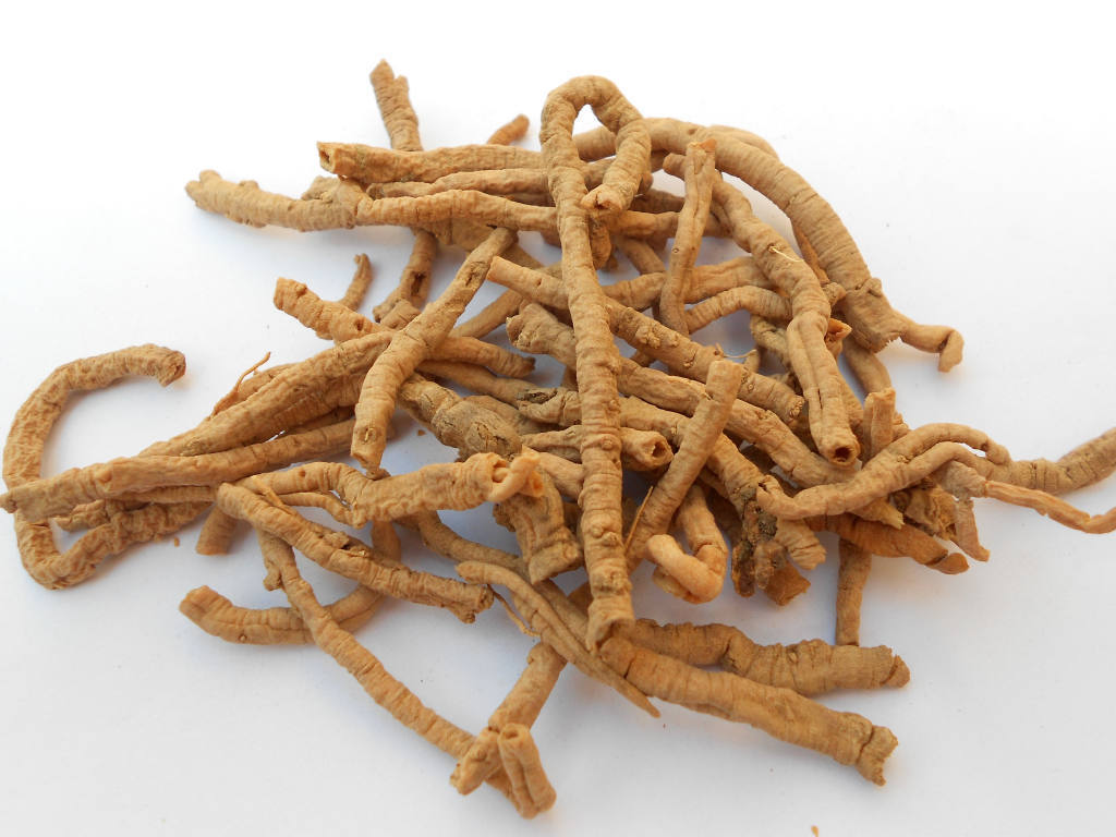 中药材精选远志 远志肉 安神益智 祛痰利咽 干净无杂质 250g包邮