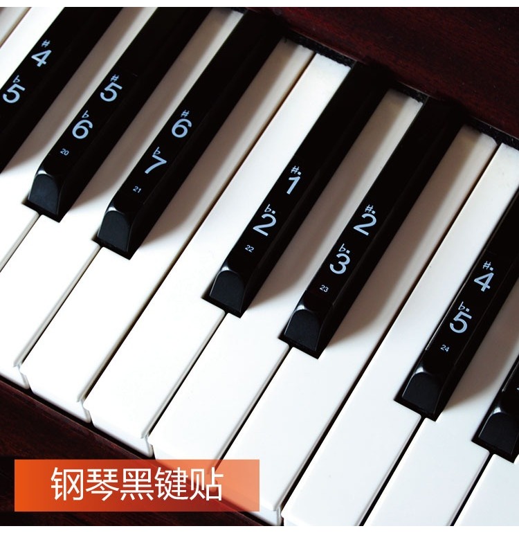 钢琴电子琴黑键贴纸 透明