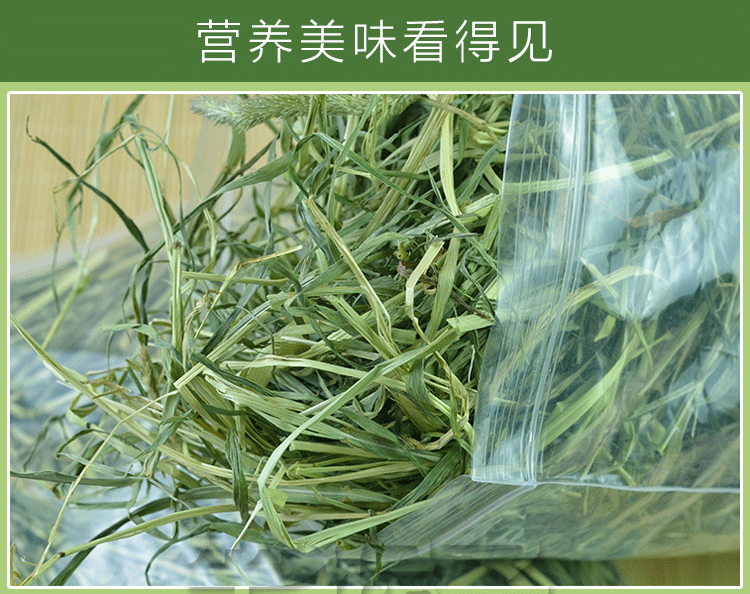 一包包邮2017提摩西草兔子干草龙猫荷兰猪饲料宠物提木西牧草兔粮