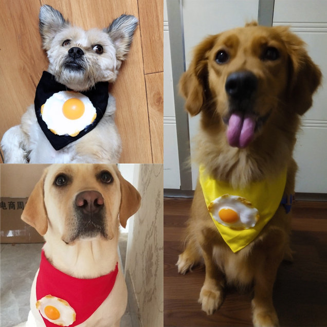 狗狗围嘴口水巾 金毛大型犬