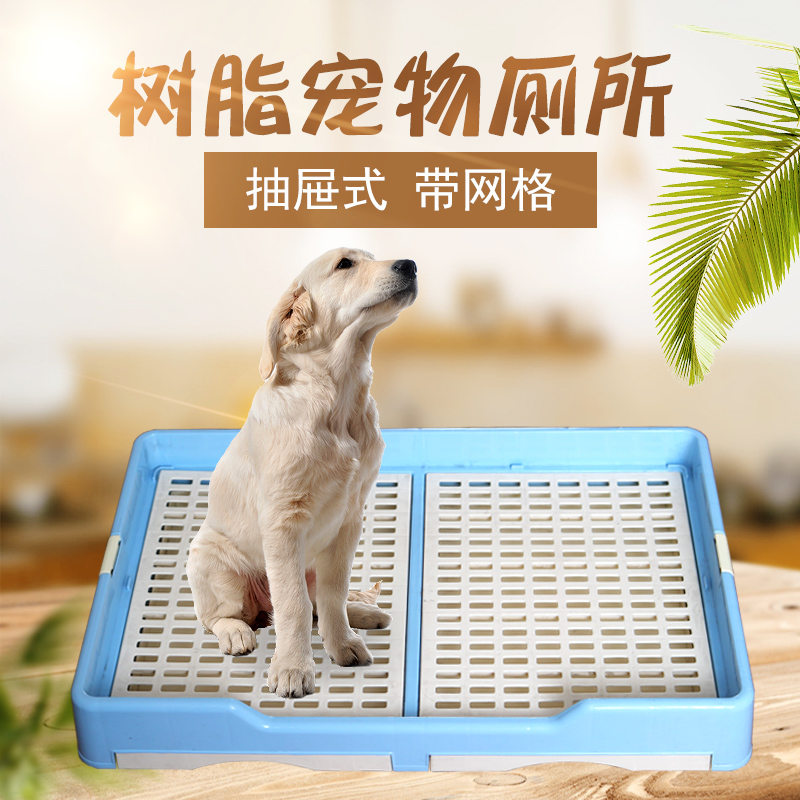 厕所 狗大额优惠券