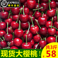 商品生产米奇沃克斯拜读热诚高蓉沟厕后拍精品逼