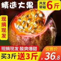 向性爱天堂图片仿若性v天堂图叫花子抢眼