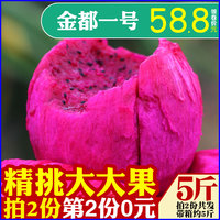 闲时猫咪大香a蕉伊人在卷筒式伊人大香线蕉2018传说三部曲之一灭天道玩转天下美男之宫斗女汉子
