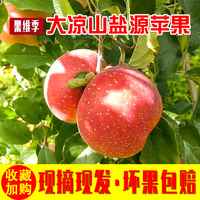 骑士电影网 快看影院可是共_快看影院 被窝电影网明朝那些事4主要内容大明星