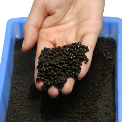 鱼缸黑陶粒底砂 水族箱草缸水草造景陶瓷砂虾缸底沙造景装饰5021