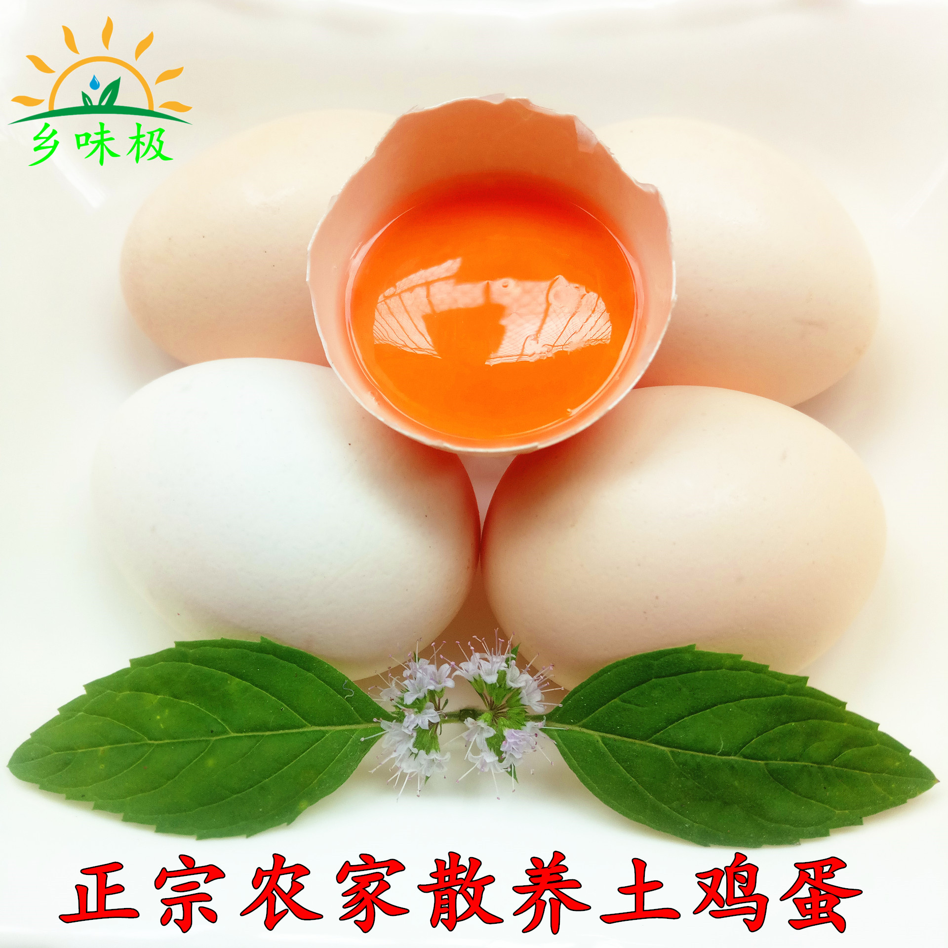 热销草鸡蛋月子蛋
