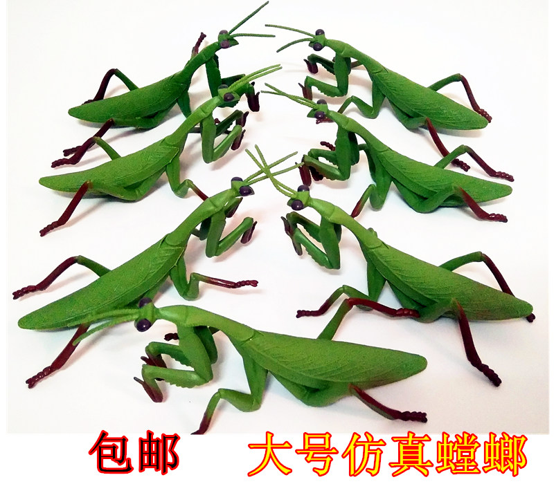 幼儿园认知儿童玩具教具 仿真螳螂模型塑胶野生昆虫多足动物玩具