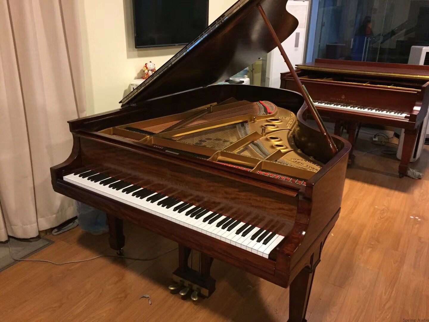 热销珠江钢琴 里特米勒_北京汪一施坦威steinway重建工作室 a188三角