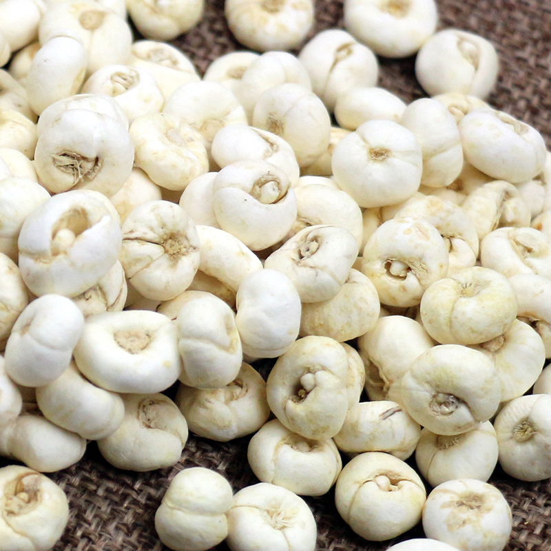 四川种植贝母 川贝母 川贝粉 贝母 米贝 农货